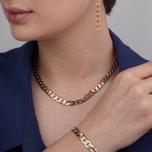 سرویس کارتیر لوکس Aibo